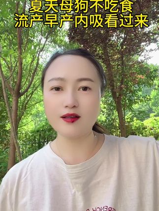 #狗狗#养狗#狗是人类最忠诚的朋友 #狗狗的心思都写在脸上了 #母狗