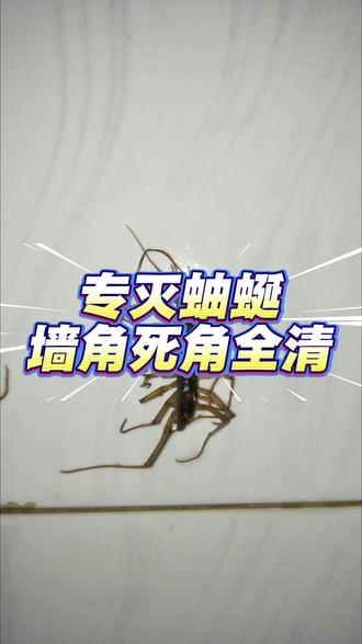家里有蚰蜒到处乱跑?那就用它来灭防! #蚰蜒 #杀虫剂 #病虫害防治 #实用好物 #灭虫小妙招