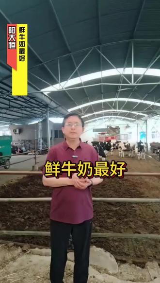 鲜牛奶,真真正正的健康珍品#阳恒大舞台#阳大恒#