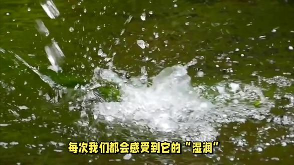 为什么水是湿的? #科普