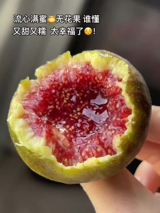 谁懂啊?!网购无花果巨成功的一次!一口咬下去,又糯又甜,蜜🍯多到流出来!甜度超高!满嘴都是蜜😋简直就是我的梦中情无花果!!!#无花果 #软糯香甜 #新鲜无花果 #新鲜采摘