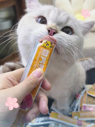 你看看这100根猫条才多少钱! 而且全是营养猫条,不怕猫咪吃太多#吃货猫 #猫条 #猫粮