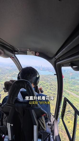 200多就能坐直升机高空赏花‼️春日必囤‼️ #梧桐山低空花游 #在搞一种很新的旅行vlog #直升机体验 #私藏度假地 #深圳游玩推荐官
