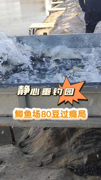 #上热门话题榜🔥 #钓鱼 #钓鱼的乐趣只有钓鱼人懂 #钓鱼人