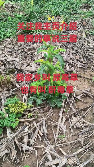 这辈子没别的本事,能帮就帮