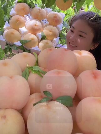 脆甜多汁】新鲜水蜜桃软甜多汁香甜爽口果香皮薄美 味采摘甜蜜包赔#脆又甜