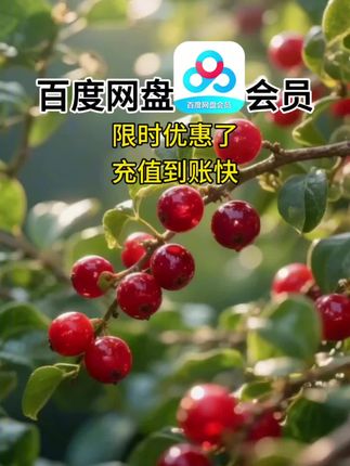 百度网盘优惠了!#百度网盘 #百度网盘会员 #百度 #百度网盘加速 #百度网盘年卡