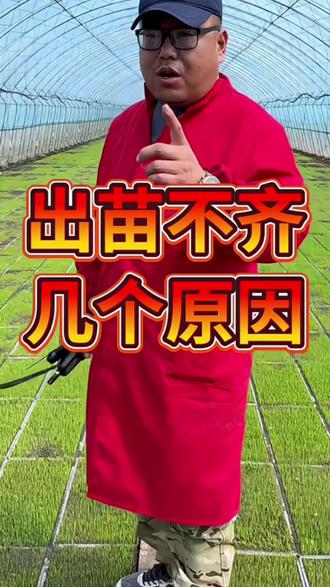 #农业技术 #三农 #抖音助农 #水稻种植#大田 #心系三农服务三农 @抖音小助手