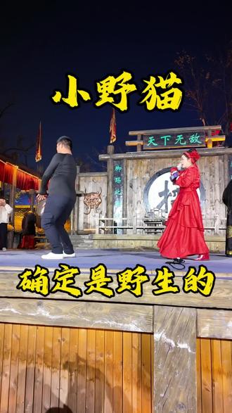 确定是野生的小野猫!#小野猫 #二娘的秀 #蔚蓝星观察 #万岁山晨露 #万岁山武侠城