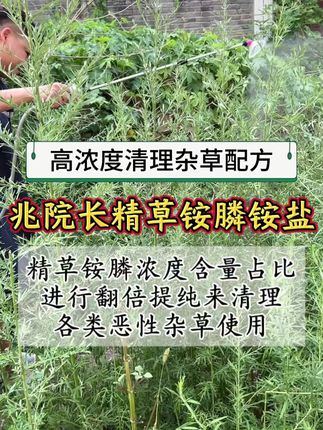 #升级版精草铵膦铵盐除草剂 #精草铵膦铵盐果园茶园除草 #除根烂根渗透力强一次解决 #开荒除草 含量20% 含量翻倍 价格不贵#三农