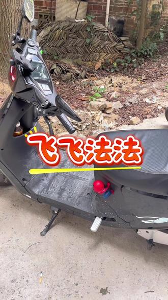 我有了电动车,想去哪就去哪,看到红灯我就停绿灯就飞法法。注:(飞法法是绿灯)#自定义音效