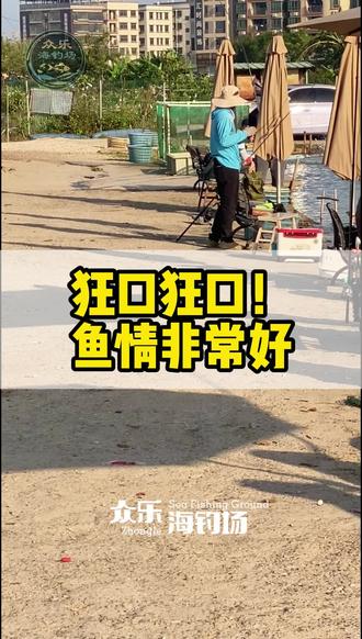 📢 3月21日-3月22日放鱼通知🎉🐟
🐟🐟🐟放鱼🐟🐟🐟
⚠️正常收费⚠️
$230 / 5小时|$300 / 10小时
📅 时间:3月21日早上8点,星期六
🐟 落塘鱼种:吊水倉魚,金头雕。
⚖️ 总量:700斤
📅 时间:3月21日中午12点,星期六
🐟 落塘鱼种:吊水大石斑(3斤左右)
⚖️ 总量:50条
📅 时间:3月21日中午12点,星期六
🐟 落塘鱼种:吊水海岛大红古
⚖️ 总量:100条
———————————————
🐟🐟🐟放鱼🐟🐟🐟
⚠️正常收费⚠️
$230 / 5小时|$300 / 10小时
📅 时间:3月22日早上8点,星期日
🐟 落塘鱼种:吊水倉魚,金头雕,瓜子斑
⚖️ 总量:700斤
📅 时间:3月22日中午12点,星期日
🐟 落塘鱼种:吊水海岛大红古
⚖️ 总量:100条
⚠️特别注意‼️:放鱼嘅数量同次数会根据天气情况进行调整,确保大家可以钓得更尽兴!🌤️🌧️
来众乐,钓快乐!
#钓鱼#路亚#矶钓#坦州海钓场