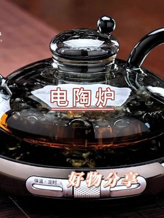 #电陶炉#好物推荐#分享#保温煮茶器#分享