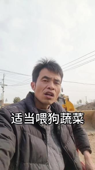 喂狗时适当添加蔬菜对狗有很大好处。#狗 #喂狗蔬菜 #狗狗的日常 #养狗经验分享 #养狗人