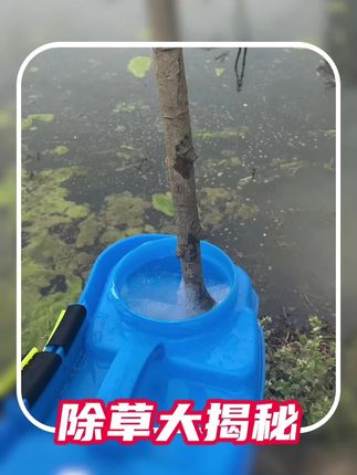 除草不伤作物的除草剂你知道吗#精草铵膦铵盐 #除草剂