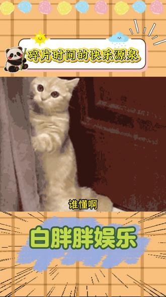 碎片时间的快乐源泉 #悟空浏览器 #短剧 #小说 #追剧神器