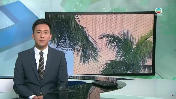 鳳凰颱風资讯 #風球 #台风资讯