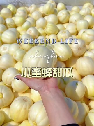 小蜜蜂甜瓜 #蜜罐甜瓜#小蜜蜂甜瓜#超好吃#新鲜水果#现摘现发新鲜到家
