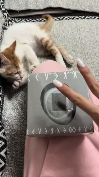 小k4你这次竟如此速度 我都快要不认识你了#exo八辑 #开箱视频 #高端玩具枪 #看看你的高知小猫