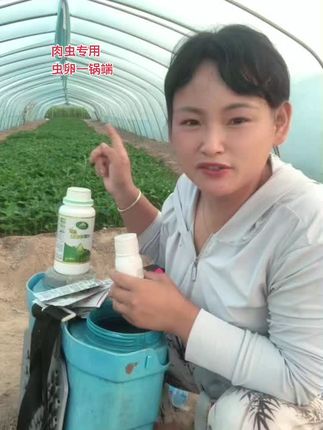 #虫害防治 #青虫#肉虫的克星 #农业种植