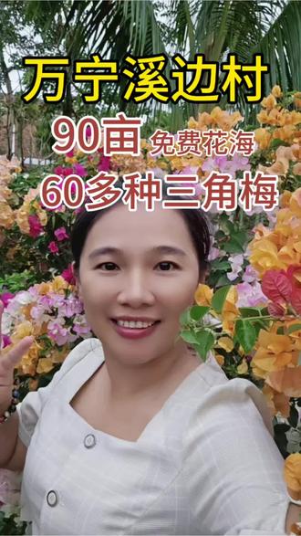 潮玩山海浪动万宁|万宁本地人私藏遛娃宝地!免费!免费!
90亩三角梅花海美炸了!60+品种开成彩虹色,2-4月盛花期直接美出圈,拍照巨出片!
就在世界长寿之乡溪边村,《麻花特开心2》同款打卡地!
✅ 花海深处藏着溪边书屋,3500册藏书,墨香混着花香,娃能安静看半天书
✅ 咖啡屋就在旁边,点一杯海南本地咖啡,坐着赏花喝咖啡,惬意到不想走
免费入园!免费停车!带娃撒欢一整天不花一分钱!
📌 打卡小贴士
📍导航:万宁溪边村/溪边书屋
⏰最佳时段:下午4点后,光线柔和不晒,还能拍绝美夕阳
👗穿搭建议:浅色系衣裙+草帽,和花海超配
🚗停车:村口有停车场,别开进村里哦
我在万宁兴隆臻园工作8年,本地宝藏地门儿清!
想解锁更多万宁免费遛娃/养老好去处,点赞关注,下期带你逛更绝的!
#万宁兴隆 #世界长寿之乡 #遛娃好去处 #三角梅花海 #免费打卡地