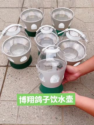 #博翔鸽子饮水壶#鸽子用品#鸽子水壶