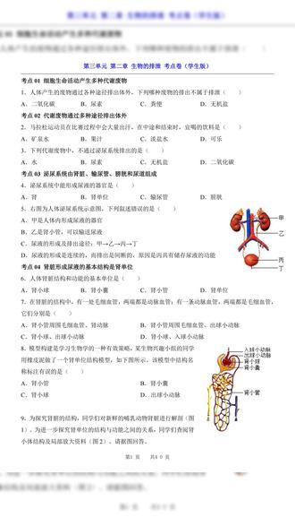 2026年七年级下册生物北京生物的排泄试卷加解析共40页
#七年级 #七年级生物 #七年级下册