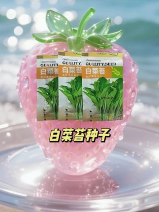 #白菜苔种子 #青菜苔 #种菜 #蔬菜种子 #家庭种植