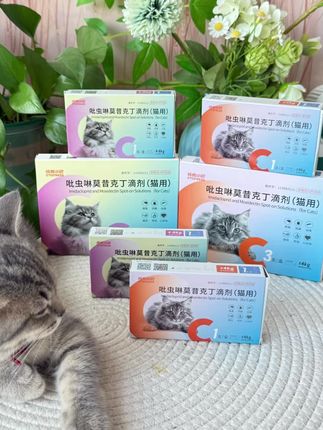 猫咪驱虫的正确方式来了!!简单方便还省钱!#萌宠好物  #科学养宠#成橙小巴 #内外同驱 #猫咪驱虫