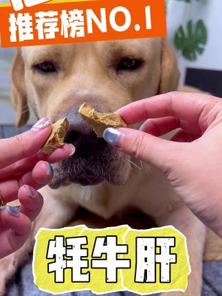 独立包装,冻干零食牦牛肝,营养又美味,猫猫狗狗都爱吃,训犬奖励小零食#萌宠好物 #小狗日记 #狗零食 #猫零食 #拉布拉多