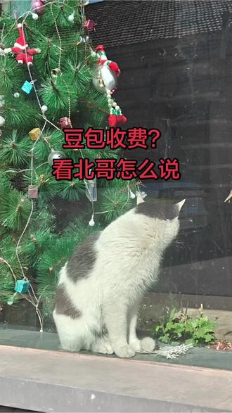 #上热门 #豆包收费 豆包收费?北哥亮明观点