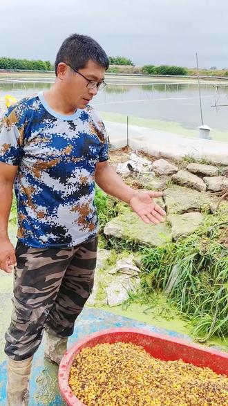 螃蟹3壳后该喂哪种饵料呀 大哥养的螃蟹也太挑食了吧,比我还严重!3壳之后喂个饵料跟选妃似的,现在饲料界都卷成这样了?干脆给螃蟹开个食堂,每天换菜,单,直接问它:“今天想吃点啥?”🦞🤔
#养蟹大作战#美食挑剔王#螃蟹也内卷 #三农流量扶持计划 @抖音创作者中心 @抖音小助手