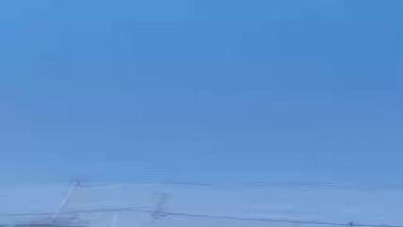 大海里的软黄金#海胆肉