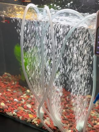 让我看看你们家的增氧泵可以吗 #增氧泵钓鱼专用推荐 #钓鱼的乐趣只有钓鱼人懂 #养鱼养心