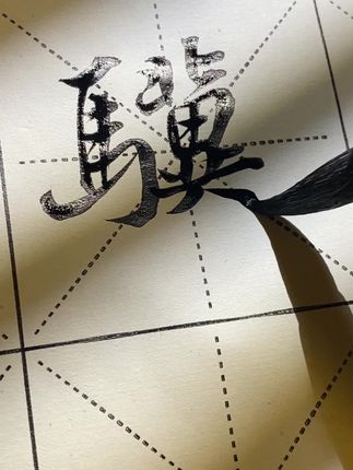 老骥伏枥 志在千里#练字 #书法