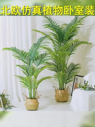 仿真植物装饰卧室北欧假绿植客厅摆件树凤尾葵散尾葵塑料落地盆栽 #仿真植物 #花卉绿植 #绿植 #绿植盆栽 #观叶植物