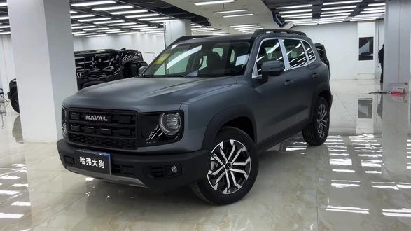 年少有为开大狗,爱情事业全都有#哈弗大狗