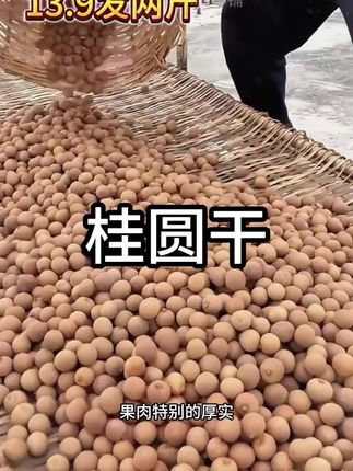 【抢4袋桂圆干】新货桂圆干煲汤熬粥打豆浆#优质农产品 #桂圆 #桂圆干 #家乡特产