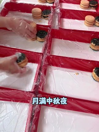 北京稻香村中秋限定礼盒29个品51块大礼盒伴手礼真空装#超级好吃😋 #中式糕点 #中秋节快乐 #中秋礼盒 #稻香村