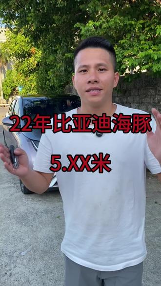 22年比亚迪海豚。#比亚迪海豚