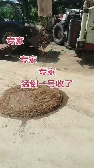 都来看看学习学习
#小麦颗粒 #农业机械 #小麦颗粒 #农村粮食生产 #麦子颗粒 @海洋养殖 @黄大权烧饼 我的猛倒一号二号收割了