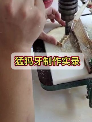 来到工作室啦!看看师傅都做什么呢…#猛犸象牙 #文玩爱好者 #实录视频