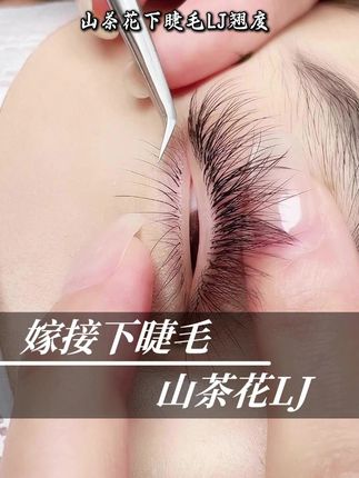 山茶花下睫毛教程,LJ翘度 #嫁接下睫毛 #美睫下睫毛 #L型下睫毛 #单根下睫毛