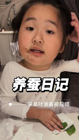 养蚕日记—小区桑叶即将断粮,养蚕也到了去外面找桑叶的步骤了😂#养蚕日记 #小学生养蚕 #蚕宝宝成长记