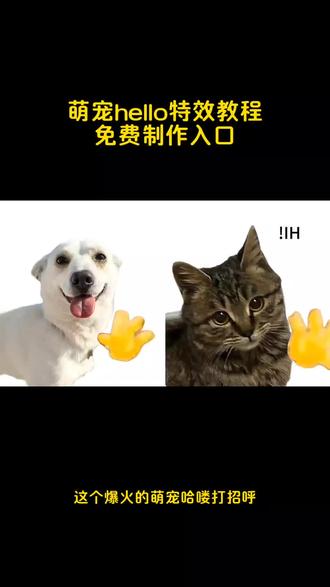 #剪映 新年就用hello打招呼教程来啦 #hello挥手动作的动画 #小猫hello怎么做 #hello小猫动态图 #新年就用hello打招呼 hello小猫表情包制作教程,hello猫模板下载,hello猫模板怎么用,hello猫表情包,hello猫动态壁纸,hello猫背景图,hello猫手机壁纸,hello猫图片大全,hello猫使用教程,hello哈基米 hello小猫表情包制作教程