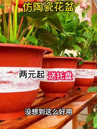 # 花盆# 透气花盆 # 美观实用 # 超便宜超划... #花盆#养花