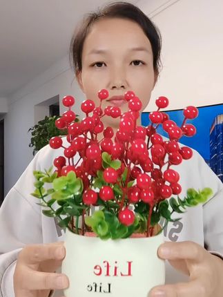 红红火火的发财果,寓意富贵吉祥,幸福美满,摆在哪里都很好看!#发财果 #实用好物