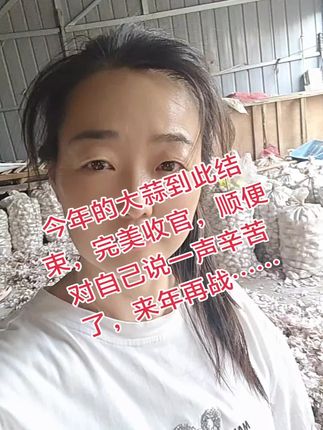 今年的大蒜今天到此结束,完美收官,虽然今年的价格不太满意,但总体来说还是挺满足的,再见了蒜友们,明年再战。。。。。#大蒜季节 #邳州大蒜之乡