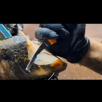 #修牛蹄解压 #解压#男人减速带