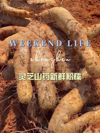【云南特产】灵芝山药新鲜粉糯非铁棍秤砣淮山小白嘴蔬菜1/5/3/9斤#好物推荐🔥